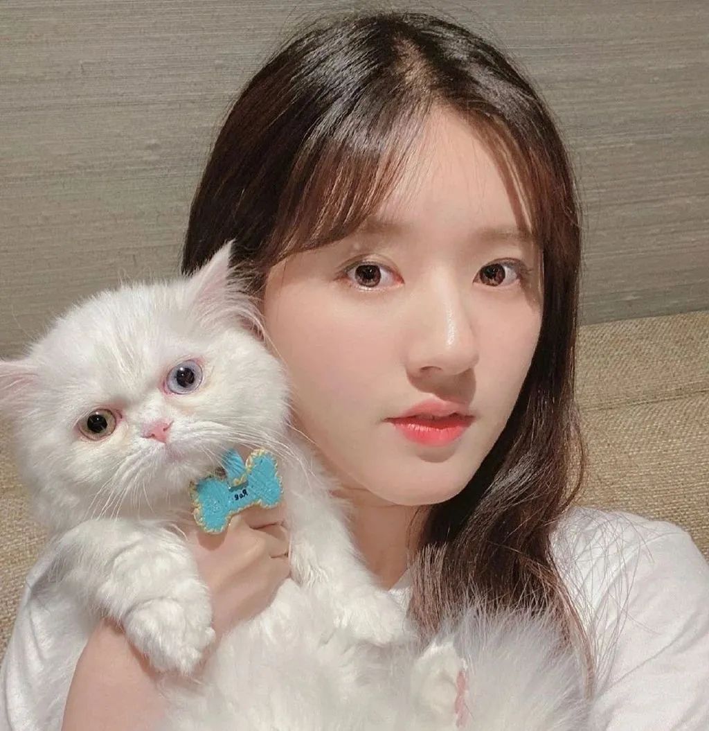 绝对是你想要的头像,找一个好的微信头像