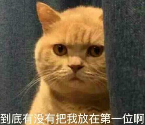 宠物饮水机“漏电”化身杨永信！你还敢让猫咪用它喝水吗？