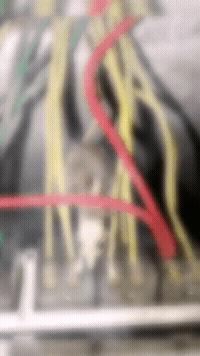 人生如戏，生如鼠蚁，当立鸿鹄之志，打通任督二脉，即刻飞升成仙