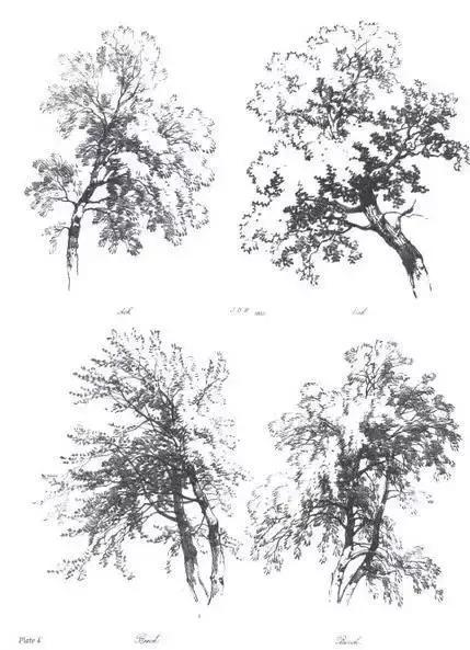 不会画风景咋办,不会画速写怎么办