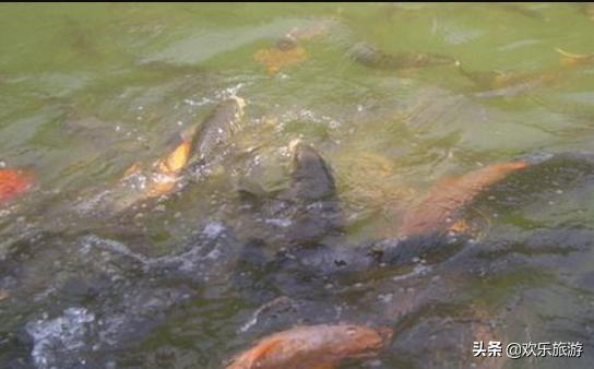 桂林哪些旅游景区好玩,桂林怎么样值得去吗