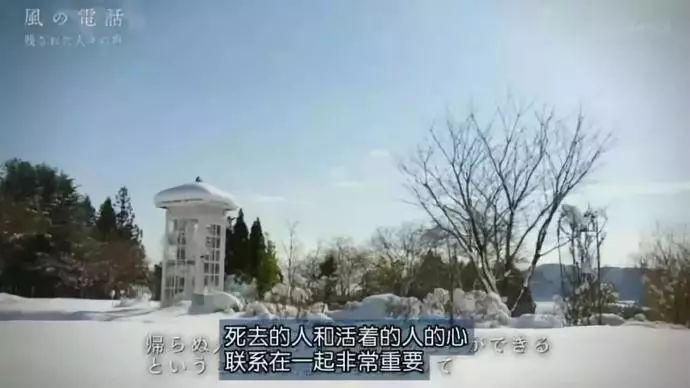 日本高分纪录片免费观看,日本的高分纪录片