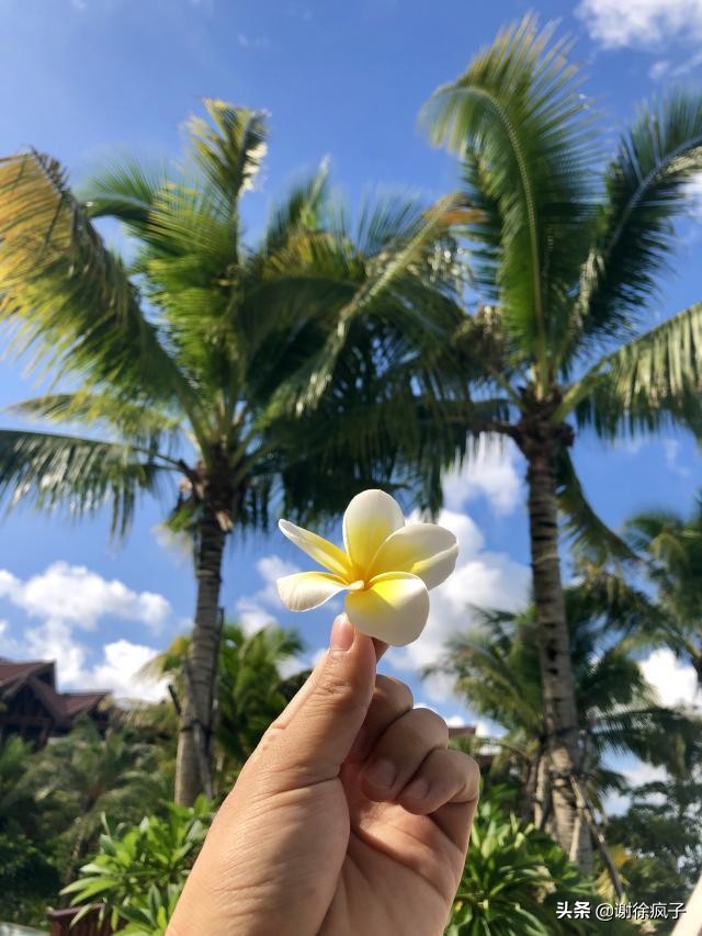 三亚海棠湾亚特兰蒂斯酒店多少钱,三亚海棠湾三大顶级酒店