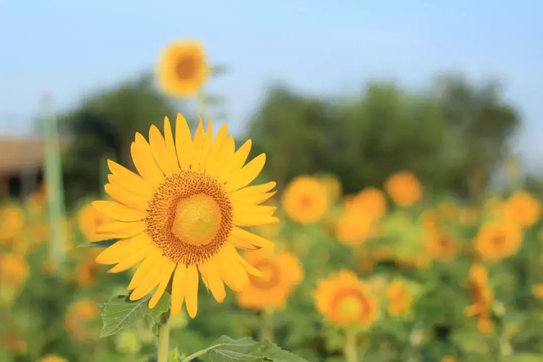 清远英德九州驿站图片,清远天门沟九州驿站