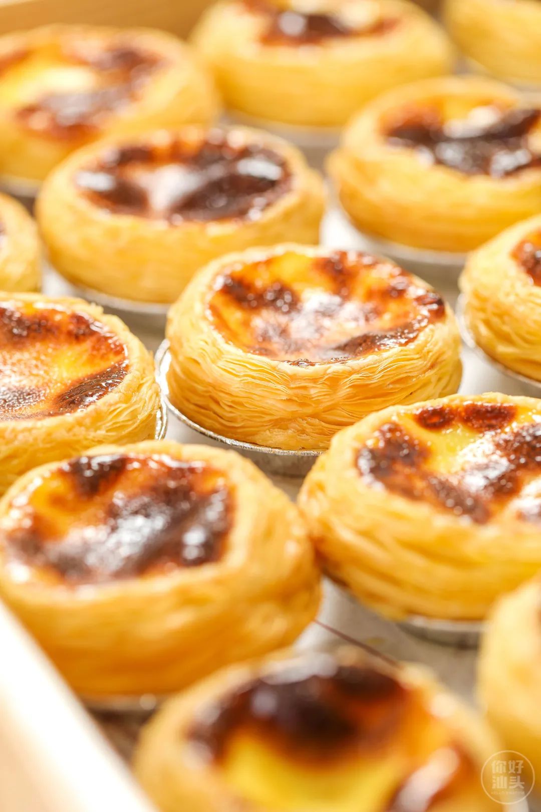 1折!长平路①烘焙店开业前夕竟决定:请全汕头人免费吃蛋挞