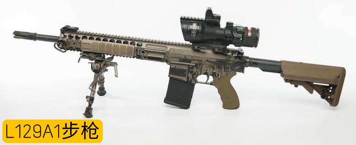 英国枪械发展史,英国枪械大全视频