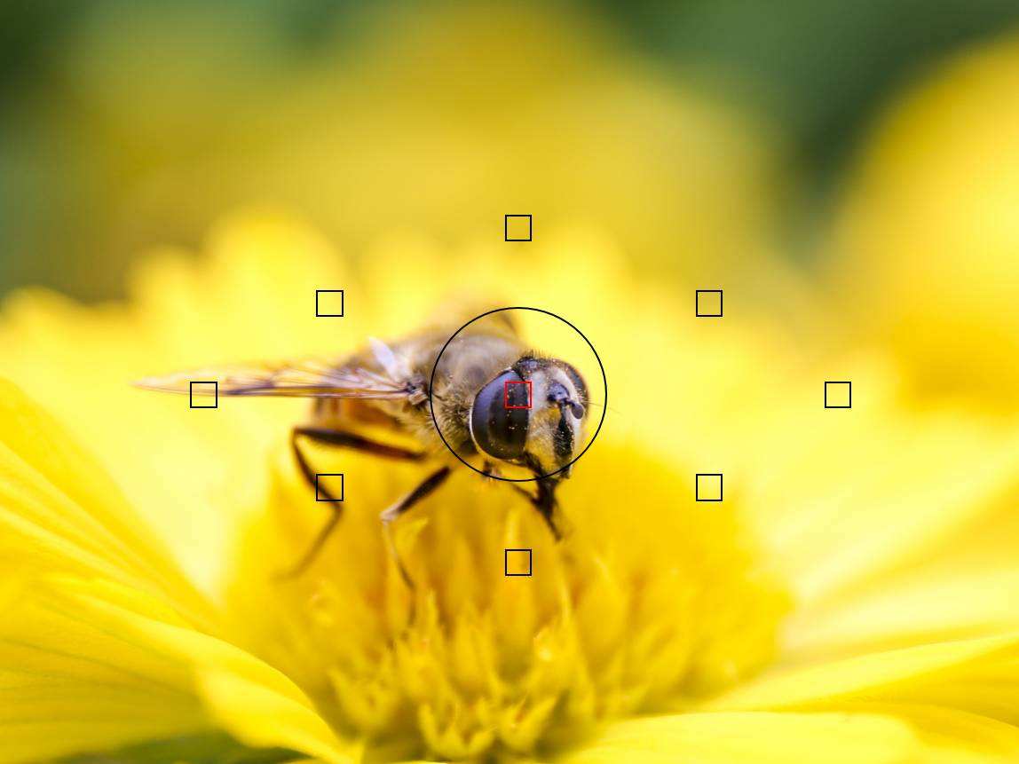 如何拍摄制作短视频,怎样拍摄制作带货短视频