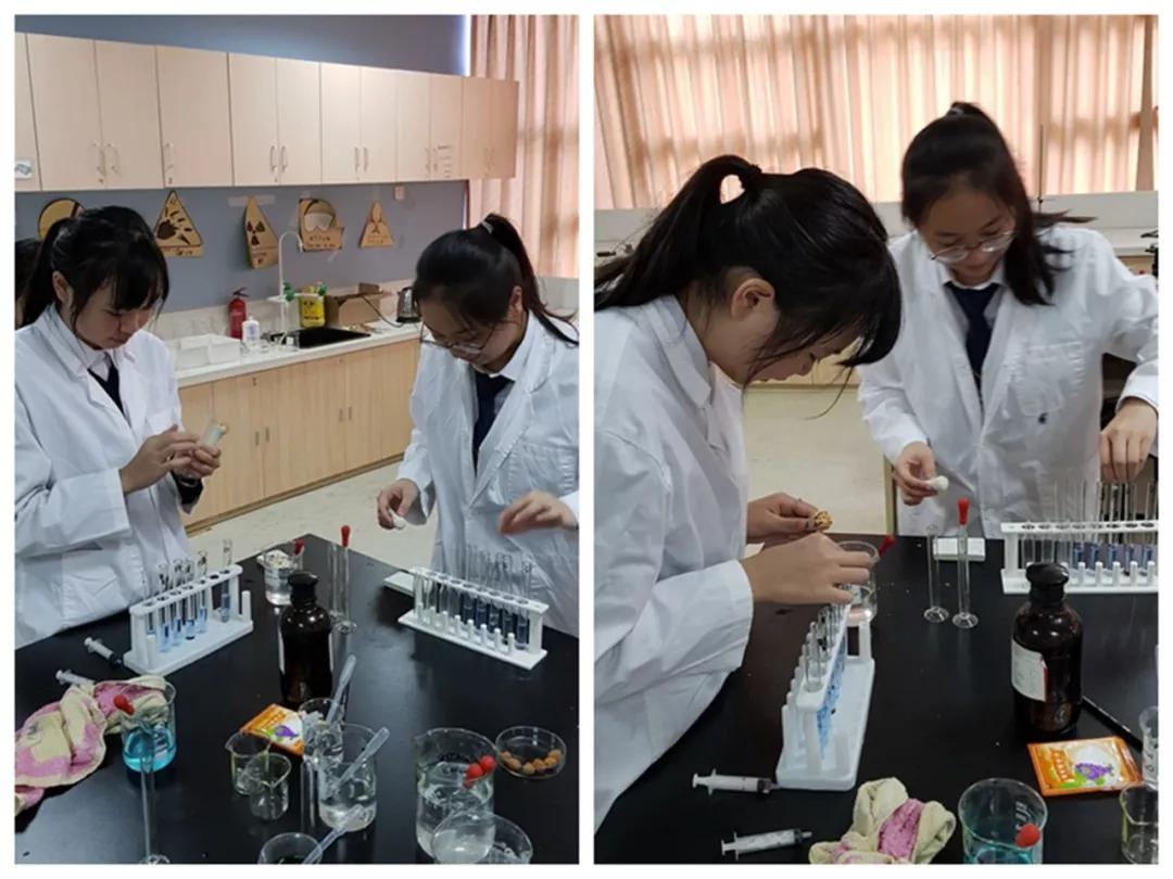 牛津国际公学成都分校多少钱一年,牛津国际公学招生简章