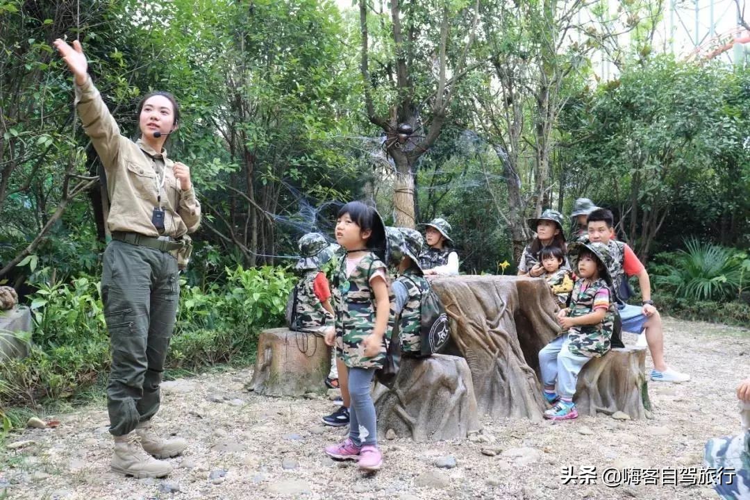 常州恐龙园欢乐行旅游攻略,常州环球恐龙城和中华恐龙园
