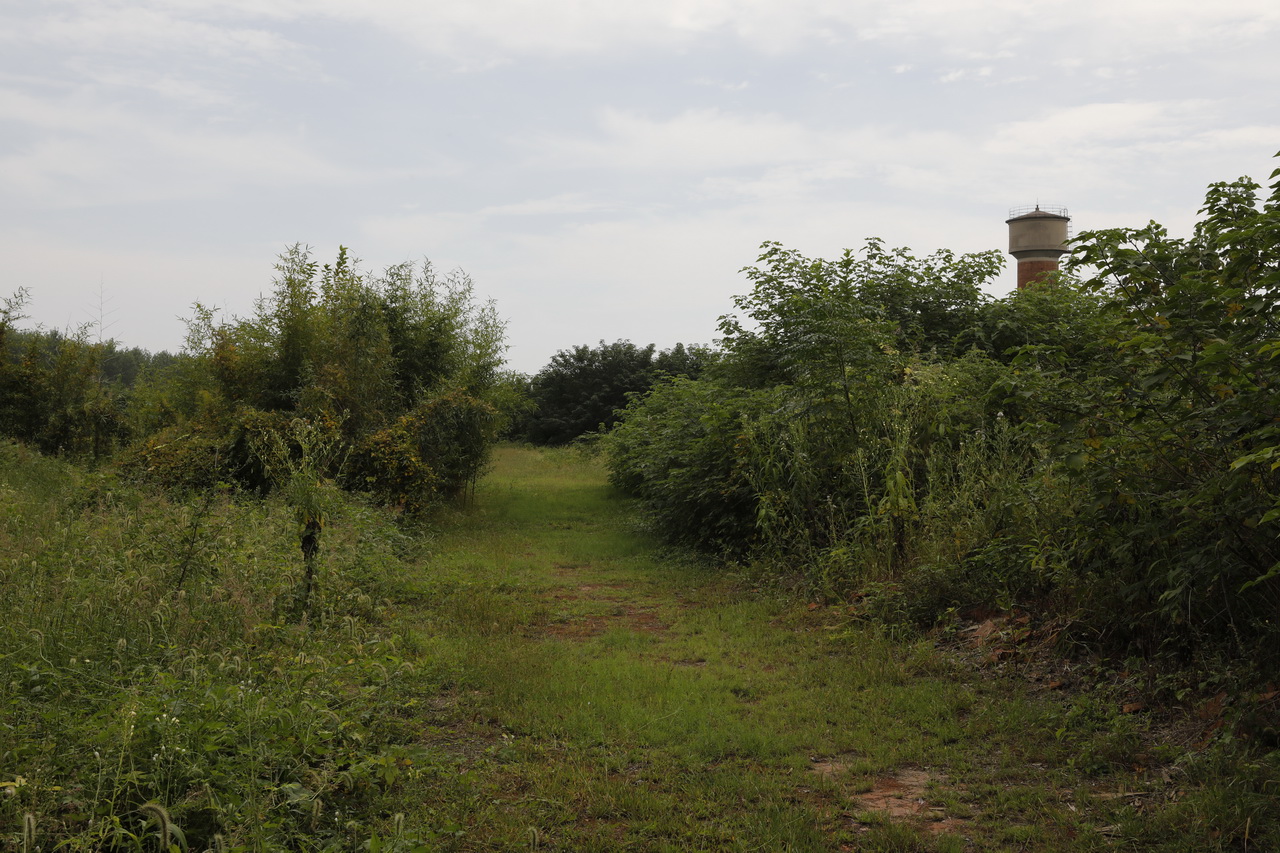 武汉市第七砖瓦厂陈建华,武汉砖瓦厂的发展现状