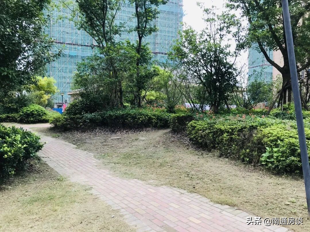 中创区朝阳花苑房价,房谈谈