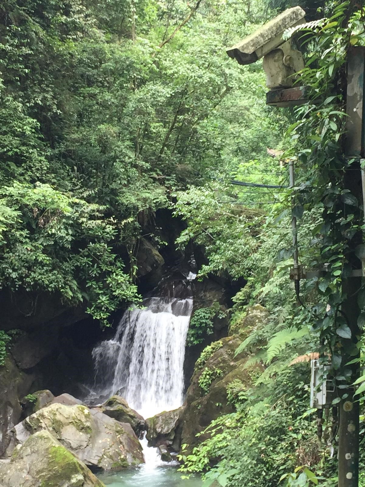 峨眉山登顶佛像,峨眉山登顶记完整版