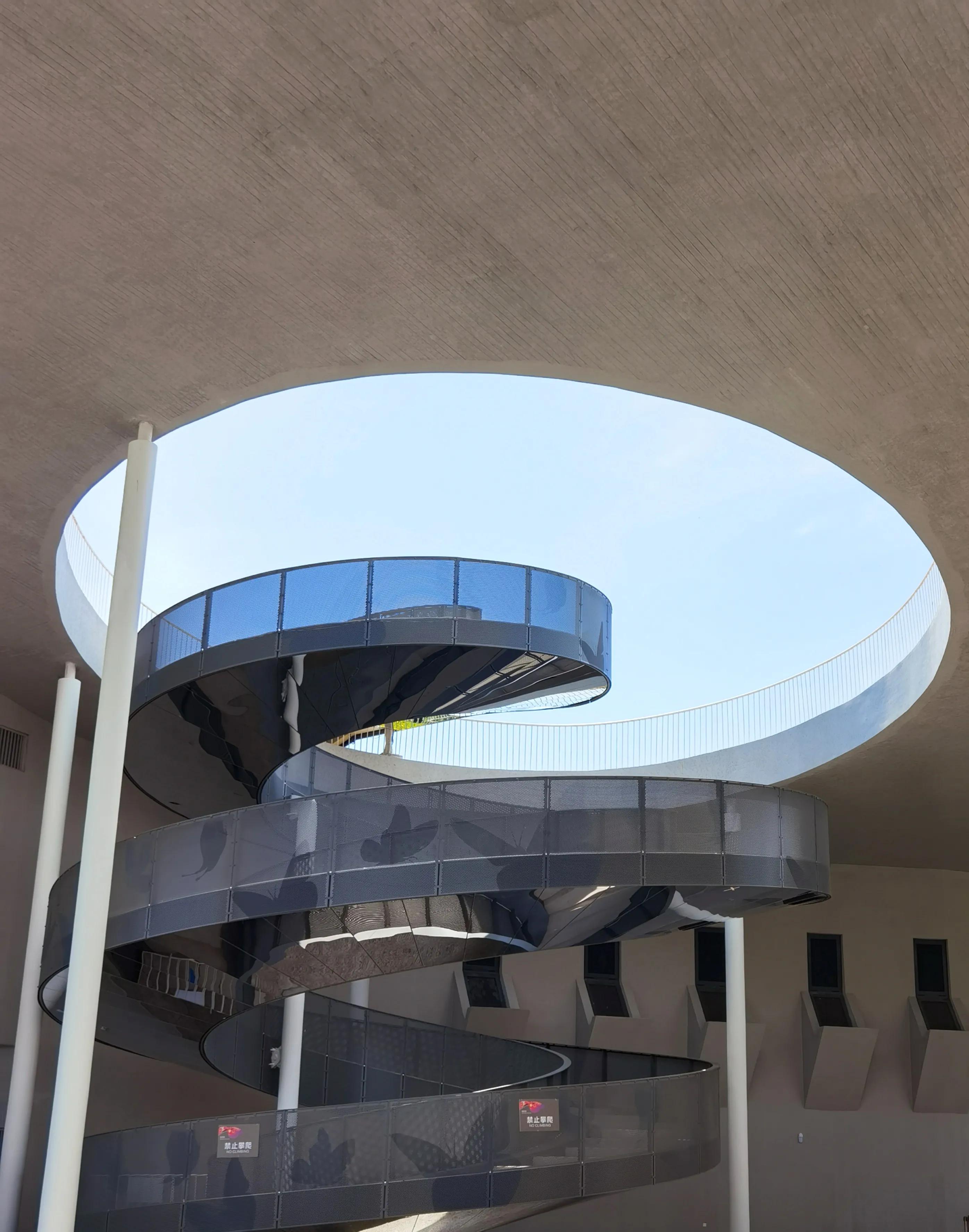 关于崇明花博会,崇明花博会全程花景