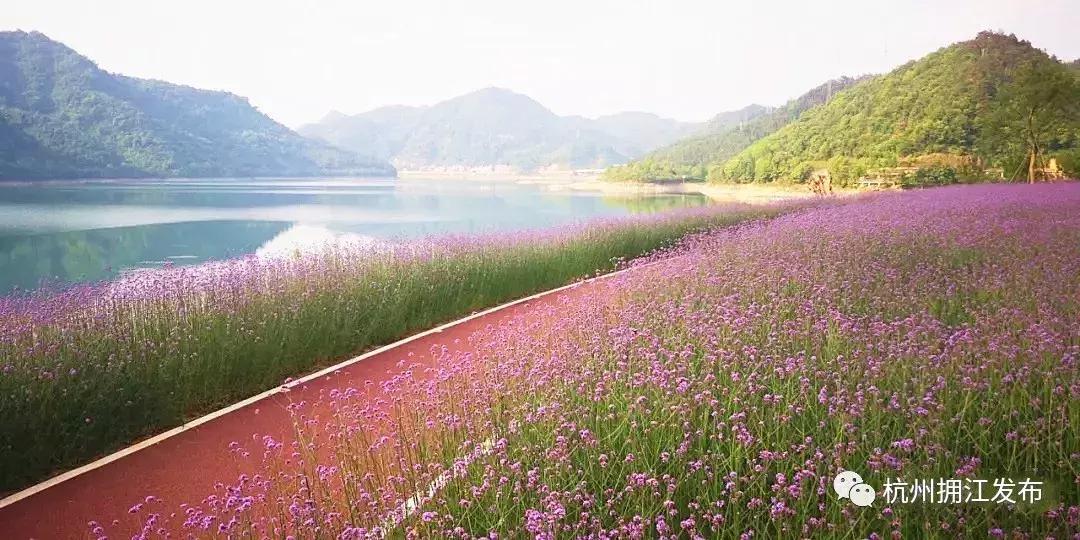 去千岛湖必经！淳安这条路“截胡”不少游客……