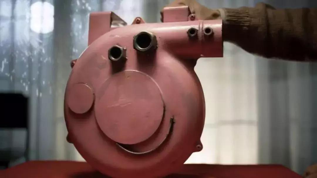 猪为何代表富贵,猪为何是生肖