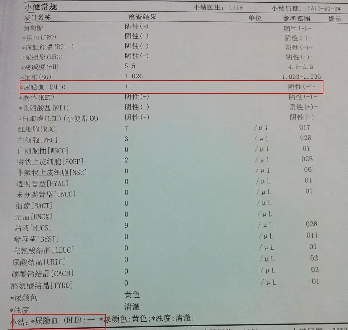重点专科划重点｜血尿和尿液发红是一回事吗？