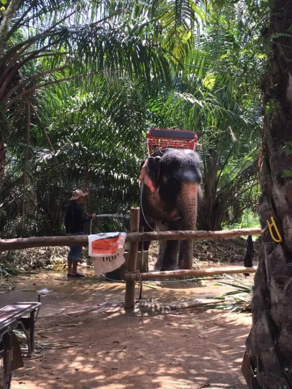 有生之年一定要再去一趟,泰国普吉岛值得去的地方