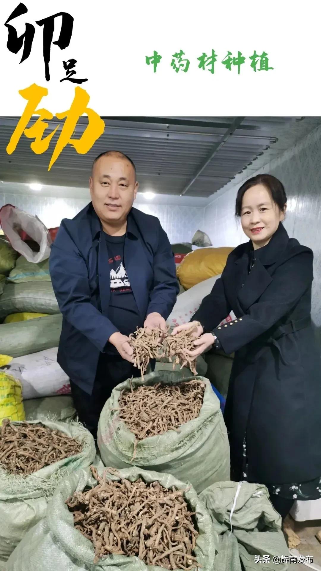 双龙村水田,辉南镇双龙村篮球赛