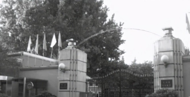 1980年，沈阳妇女将偷来的金砖切3斤去银行换钱，结果如何？