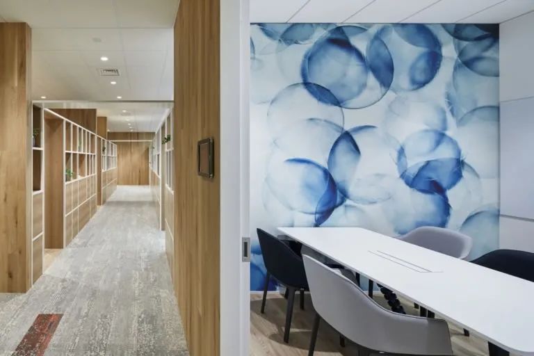 剑盾上市,剑盾全新