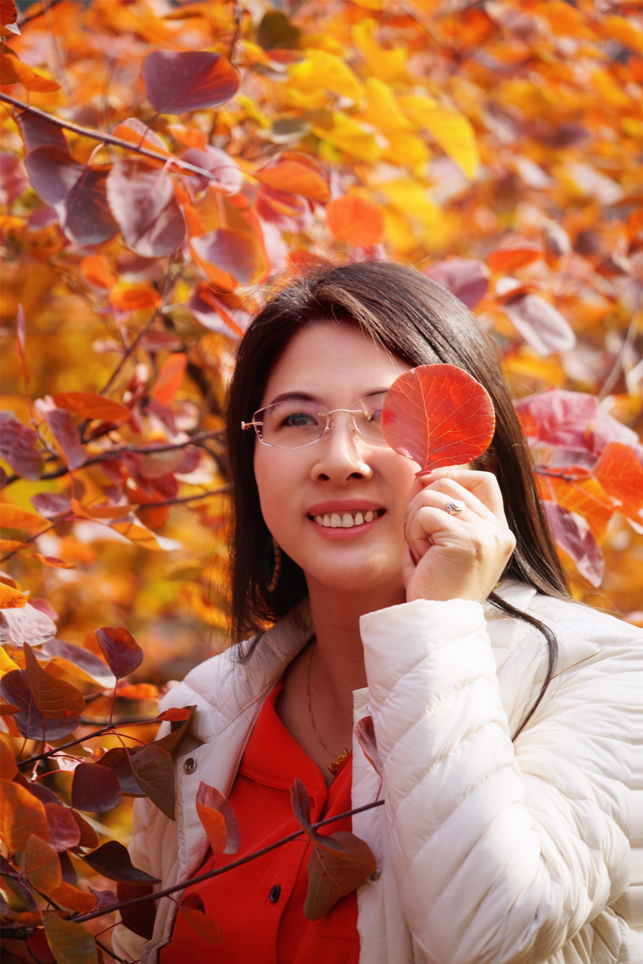 赏红叶最佳目的地,房山坡峰岭红叶最佳观赏