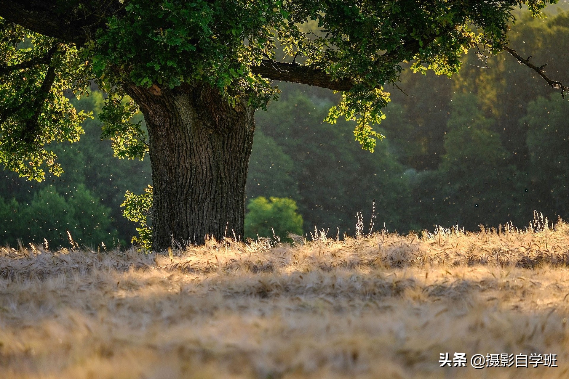 摄影小技巧风景照,风光摄影高原风景