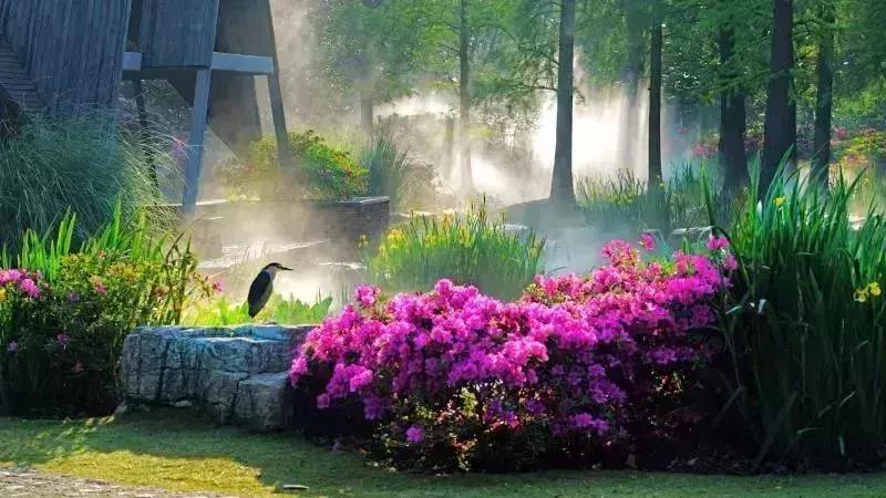 五月份上海有什么新消息,上海4月份有哪些消息