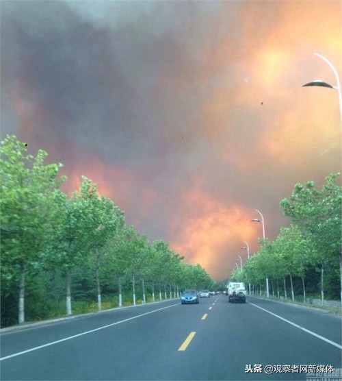 美国加州山火为什么扑不灭火,美国加州山火案例