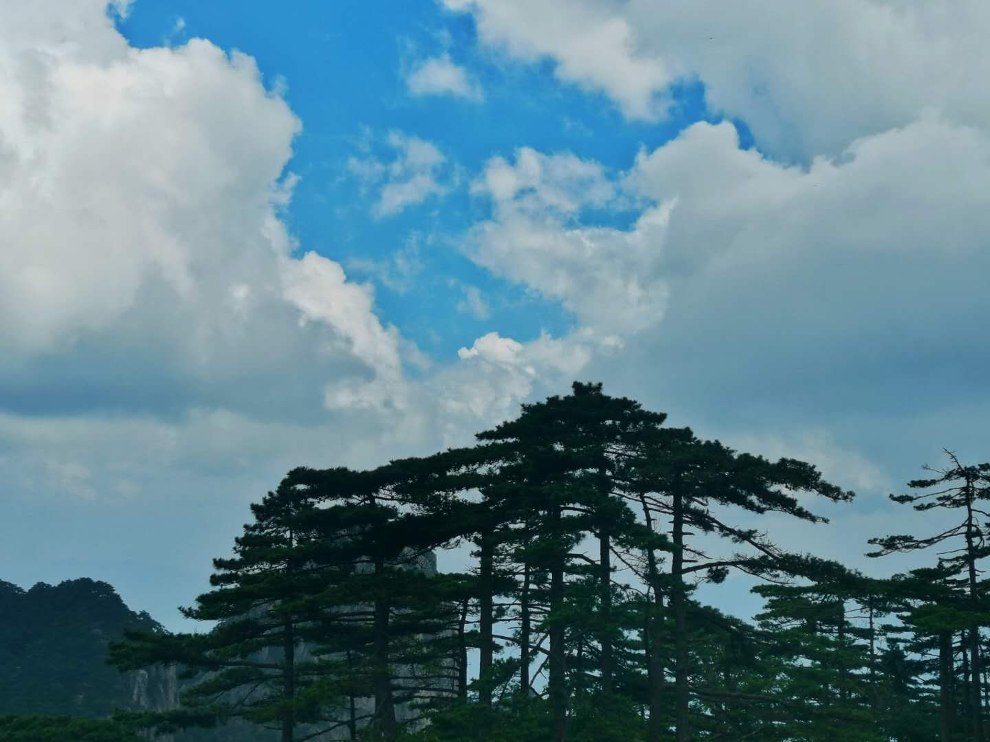 黄山游记,游记黄山