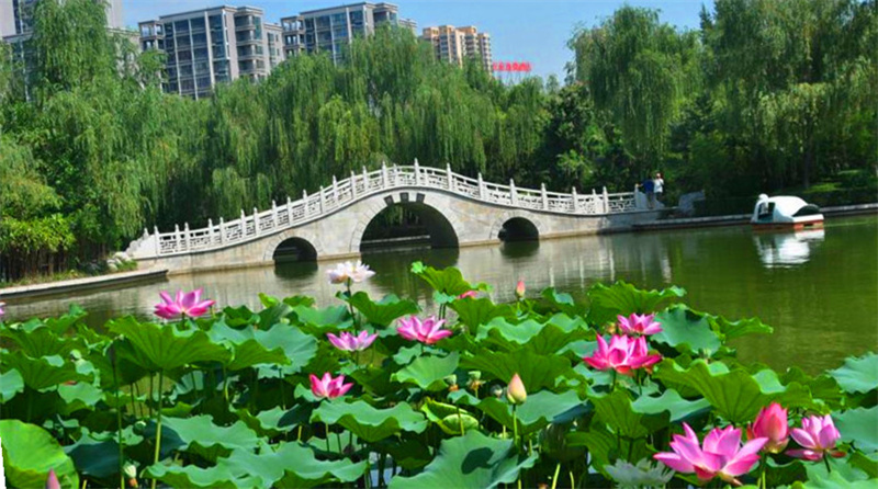 西安莲湖区20个旅游景点,3个是公园,其他17个历史底蕴丰厚