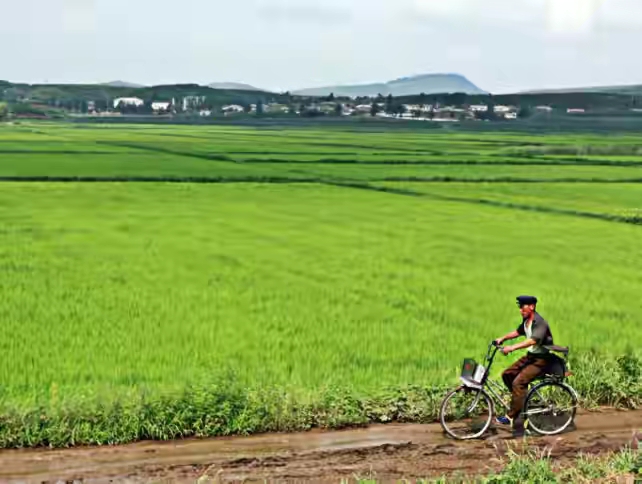朝鲜医疗免费住房免费,朝鲜免费住宅图片