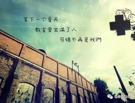 曾经的小伙伴如今何在,曾经的小伙伴文案