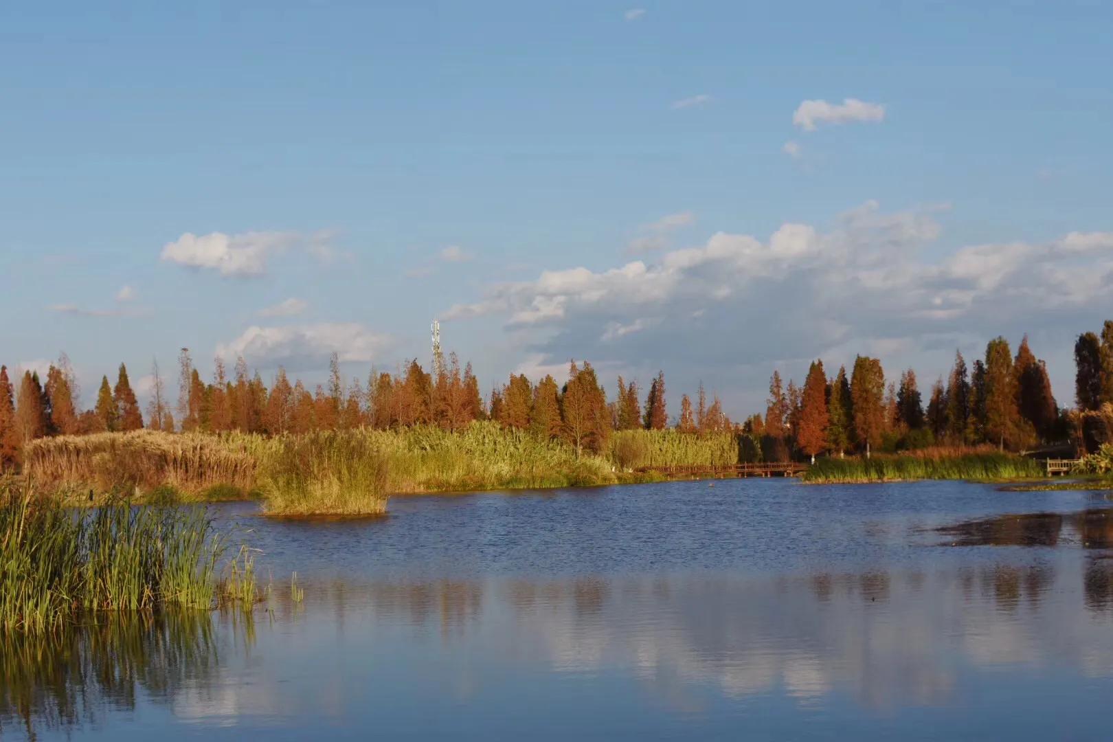 高考择校之我为什么选择云南大学