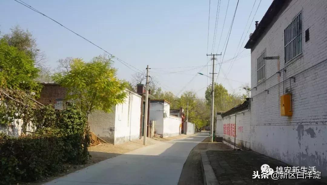 雄安新区纪事:容城印象