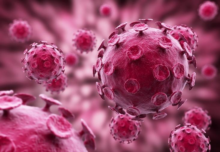 中医怎么解释病毒细菌,中医怎么形容病毒