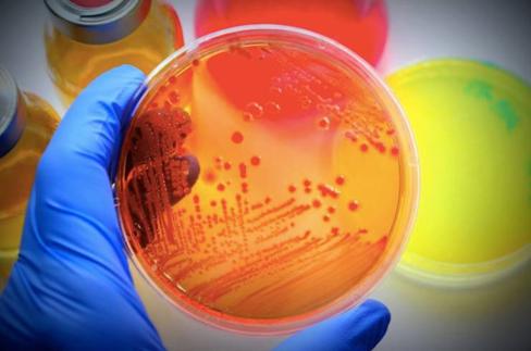 宝来利来生物科技有限公司,宝来利来生物产业园项目位置