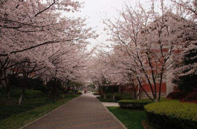 走进名校与学霸面对面,江苏学霸天团天一中学