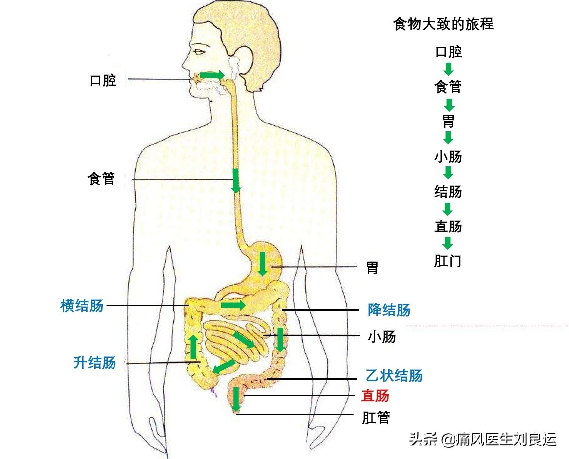 痛风发作吃什么药又不损肾,喝痛风药伤肾喝什么缓解