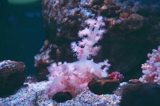 不一样的大阪三日游，瑠璃一束光，值得一来再来