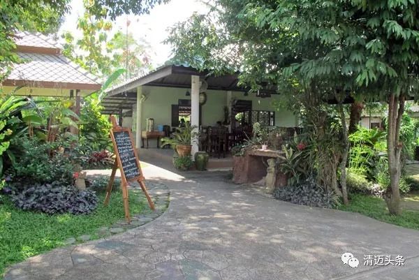 泰国清迈小众餐厅,清迈米其林餐厅kiew