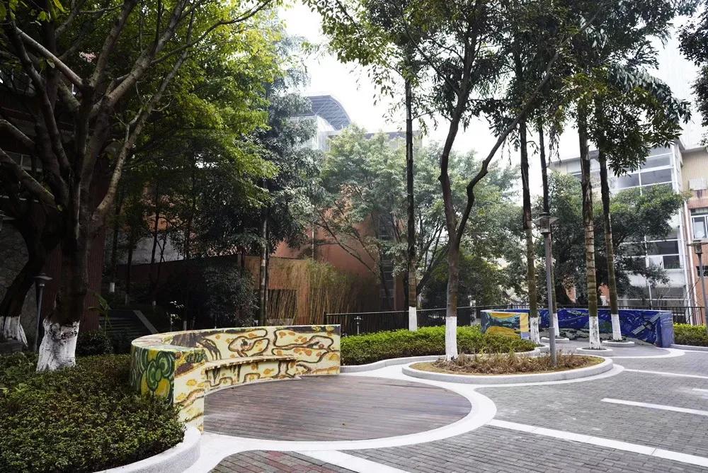 重庆两江人民小学排名第几,重庆小学最新排名一览表