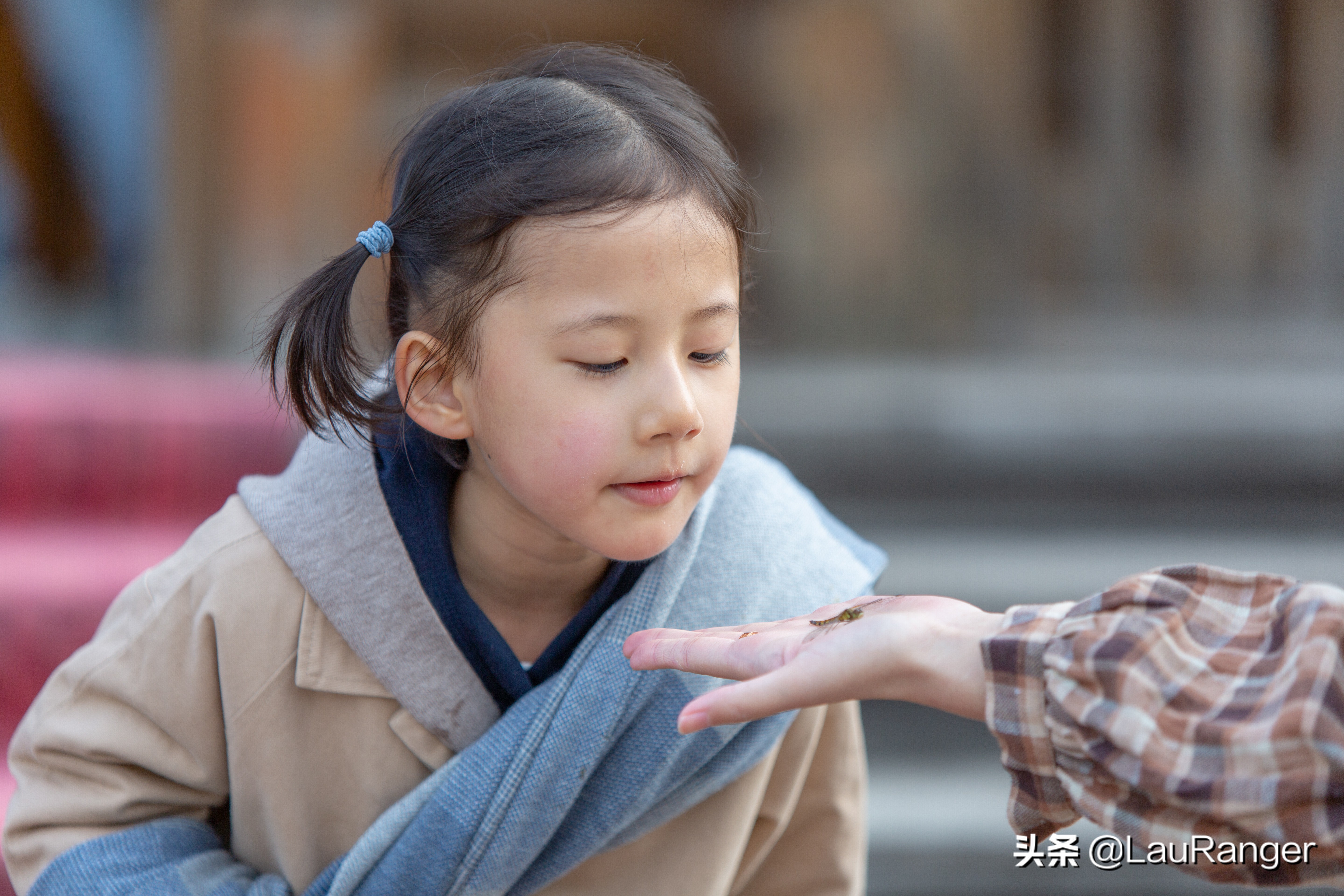 哈尔滨伏尔加庄园门票多少,哈尔滨伏尔加庄园俄式简餐