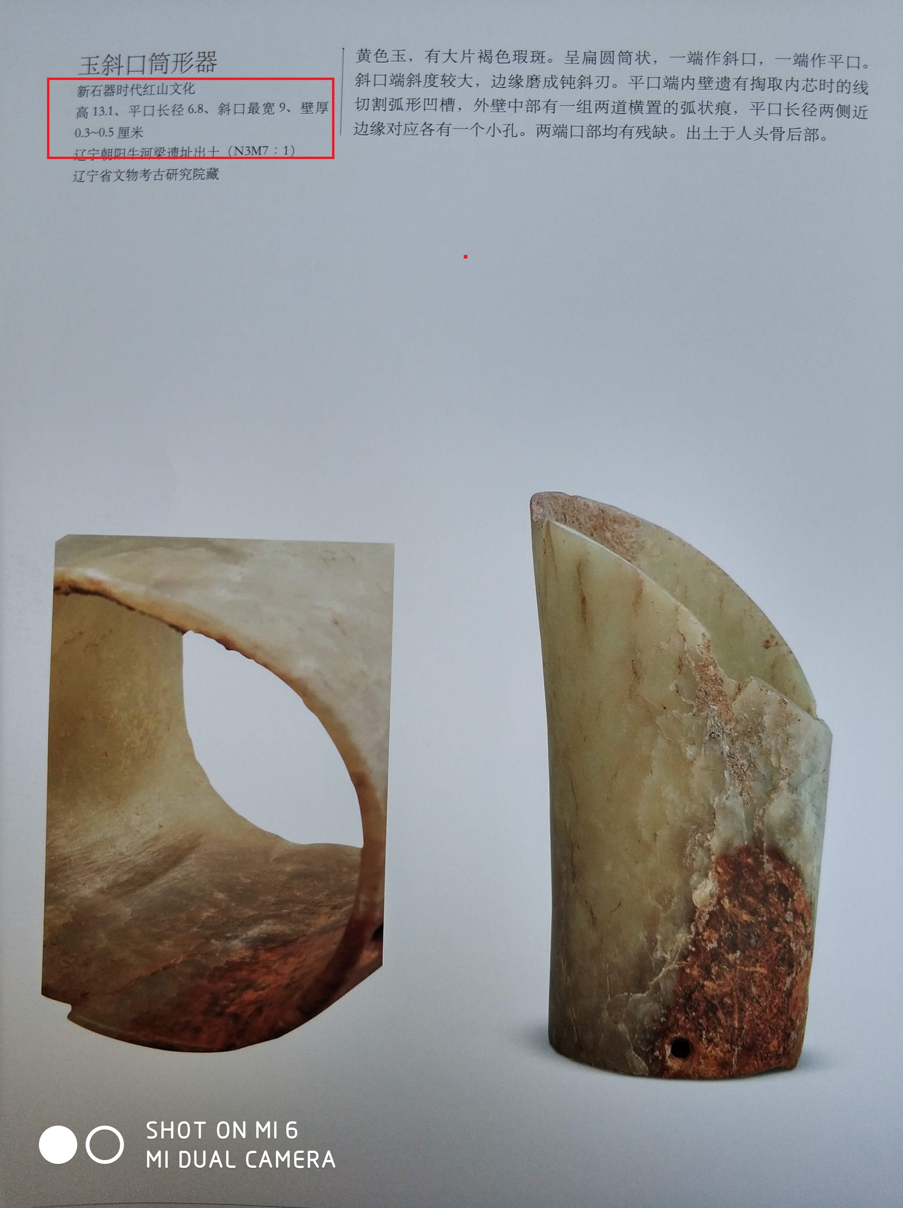 中国龙原型,中国龙的原型是什么