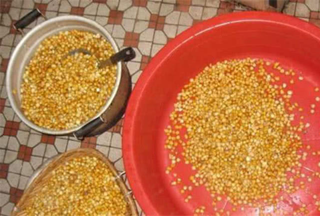 鱼为什么喜欢吃麦子,鱼为什么喜欢吃虾饵