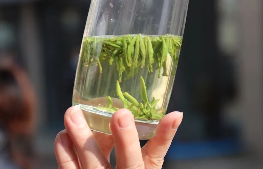 早上6点，去蒙顶山买茶是一种什么体验？