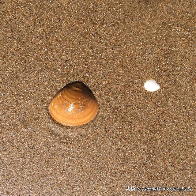 长岛双娇渔家饭店,长岛双骄渔家