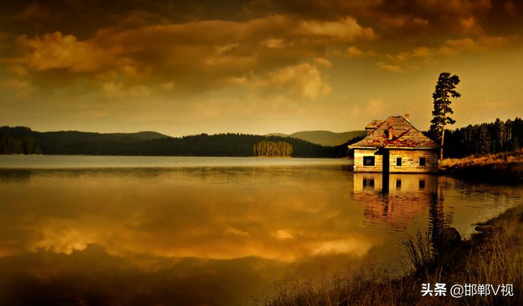 古稀老年人画,叶脉造型画