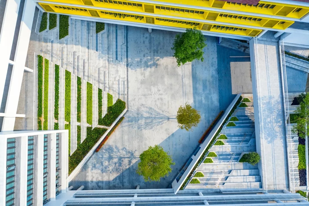 龙岗华中师范附属龙园学校怎么样,华中师大附属龙园学校深圳排名