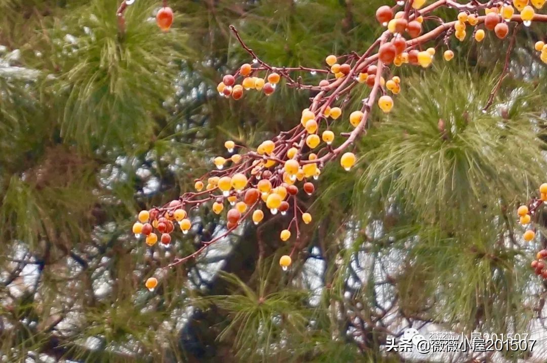 城市漫步,城市漫步郑州