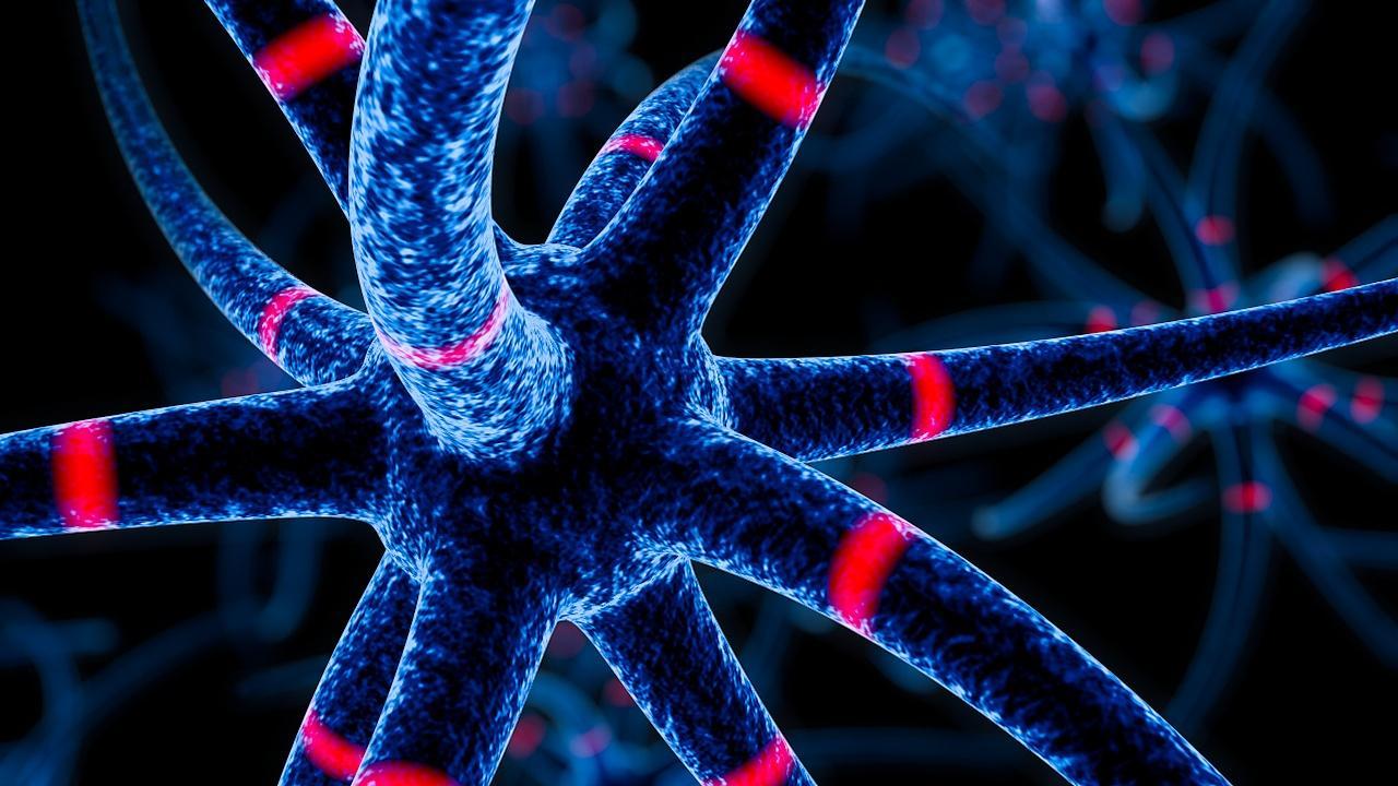 淋巴管肌瘤病患者,淋巴管肌瘤病是否有家族史